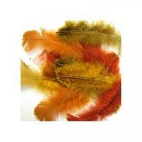 Sachet 150 plumes assorties couleurs de l'automne - Image principale