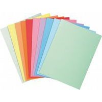 Paquet de 100 chemises dossier 160 g, peau, 24x32 cm couleurs assorties - Image principale