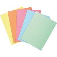 Chemise dossier 210 g, peau, 24x32 cm (Paquet de 100) - Rose - Image principale