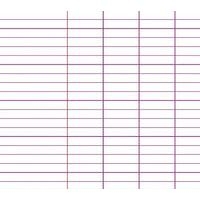 Cahier polypropylène 90g 96 pages seyes A4 - incolore - Image 2