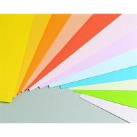 Ramette adagio vive 250 feuilles 120g A4 - vert clair (vif) - Image 2