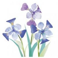 Calque couleur imprimable - Image 4