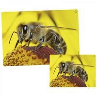 Imagier sonore des animaux - Image 3