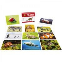 Imagier photos - Les animaux - Image 2