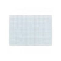 CONQUERANT Copies Doubles Non Perforées A4 Grands Carreaux Seyès 200 Pages Sous Film Blanches - Image 5