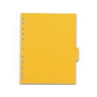 Intercalaires Neutres Color Life A4XL 6 Positions Carte Lustrée Epaisseur 220g Coloris Assortis - Image 2