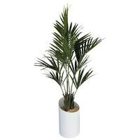 Bac VAGUE composition PALMIER - Image principale