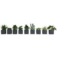 Lot de 9 pots carrés 7x7 gris 9 plantes - Image principale