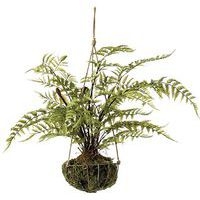 Lot de 2 suspensions fougères - Tanaman - Image principale