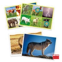 Loto sonore animaux et nature - Image 2