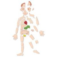 Kit playmais puzzle anatomique - Image principale