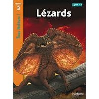 Lezards niveau 3 - tous lecteurs ! - ed.2010 - Image principale