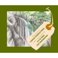 Paquet 250 feuilles dessin recyclé 160g A4 - Image 2