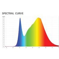 Lampe Rumbaled Led noire prise europe - Image 9