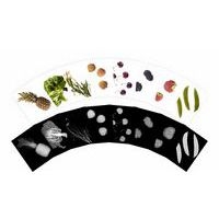 Cartes et radiographies de plantes (84 pièces) - Image 4