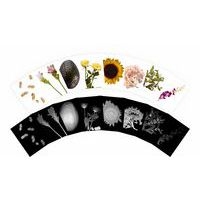 Cartes et radiographies de plantes (84 pièces) - Image 5