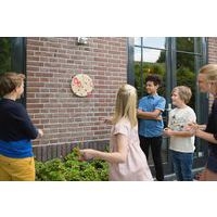 Cible bois et anneaux - Image 3