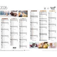 Calendrier 2026 Animaux Fantaisie - Quo Vadis - Image principale