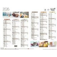 Lot de 10 Calendrier 2025 FANTAISIE 55X40,5 animaux par 10 - Image principale