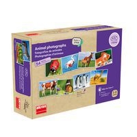 Atelier photos logiques : 'les animaux' - Image principale