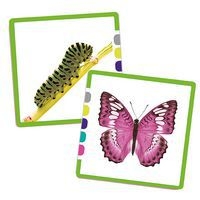 Atelier : les complémentaires - Image 5