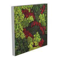 Cadre végétal n 12 Gris - Image principale