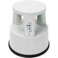 Marchepied mobile polypropylène - 2 marches Gris - Image principale