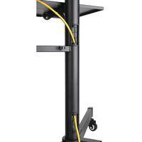 Support mobile PLASMA-M1700E pour écran jusqu'à 70" - NewStar - Image 3