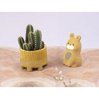 Pain de 1kg pâte autodurcissante ocre - Image 2