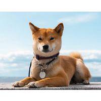 Anneau double argenté diamètre 25 mm (lot de 24) - Image 5