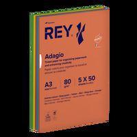 Ramette 250 feuilles A3 80g 5 teintes vives assorties - Image principale