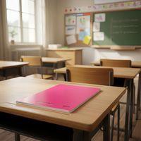 Cahier polypropylène 90g 96 pages seyes 24x32 cm - rose - Image 3