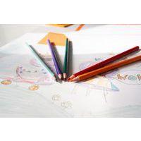 Etui 12 crayons 17,5 cm Tropicolor Bic - Image 2