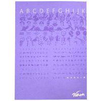 Cahier dessin albums maternelle 24x32 cm 16 pages uni 120g NF 44 - Image principale