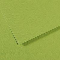 Papier dessin mi-teintes Canson 160 g - 50 x 65 - vert pomme - Image principale