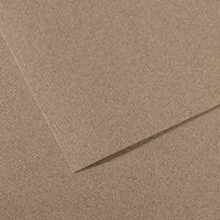 Papier dessin mi-teintes Canson 160 g - 50 x 65 - gris chiné - Image principale