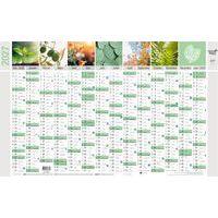 Lot de 10 Calendrier annuel Equology - 65x43 cm - 2027 - 14 mois - Quo Vadis - Image principale
