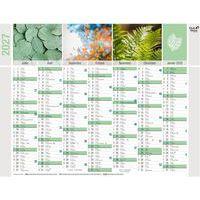 Lot de 10 Calendrier banque Equology - 27x21 cm - 2027 - 14 mois - Quo Vadis - Image 2