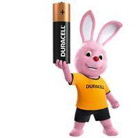 Pile alcaline AA/LR6 x4 DURACELL 100%PLUS - Image 5