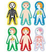 Maxi puzzles corps humain - Image principale