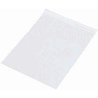 1000 sacs zip neutres épaisseur 60 microns l x H : 180 x 250 mm - Image principale