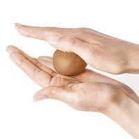 Bloc 350g pâte autodurcissante effet naturel - Fimo air light - Image 5