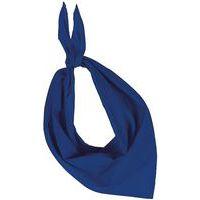 Foulard Eco bleu - Image principale