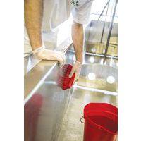 Brosse à main L - Fibre dure - 200 mm - Image 3