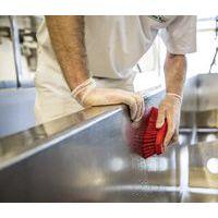 Brosse à main L 200 mm Fibres Dures Rouge - Image 4