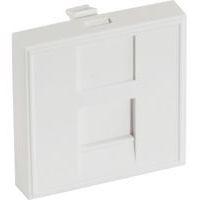 Plastron 45X45 droit pour 1 port RJ45 - Image principale