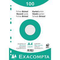 Lot de 10 Paquet 100 fiches sous film quadrillé perforé 210x297mm - Image principale