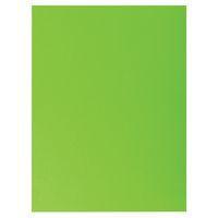 Lot de 10 paquets 25 chemises rock''s 220 double A4 ou A3 24x32cm Vert - Image principale