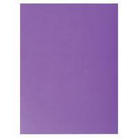 Lot de 10 paquets 25 chemises rock''s 220 double A4  A3 24x32cm Violine - Image principale