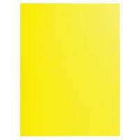 Lot de 10 paquets 25 chemises rock''s 220 double A4 ou A3 24x32cm Jaune - Image principale